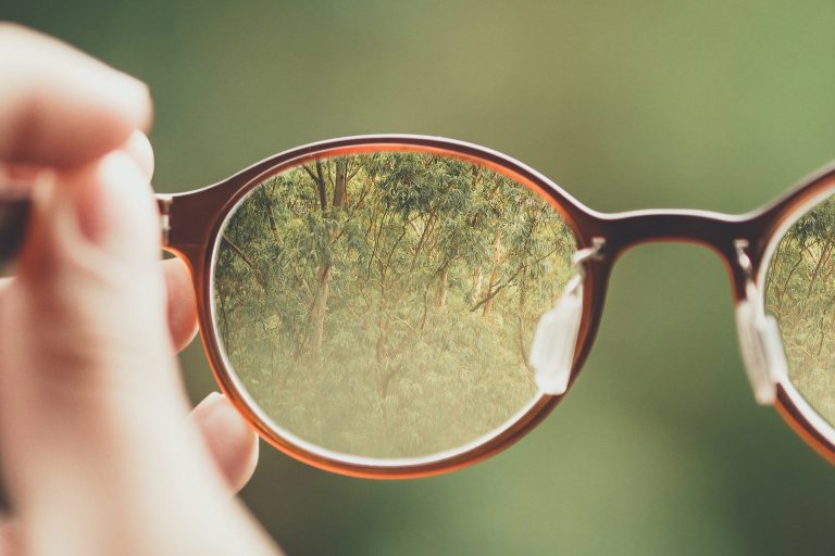 optica santolaria, Home